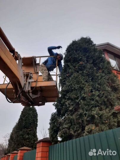 Мастер на час