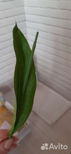 Искусственные листья пион и тюльпан