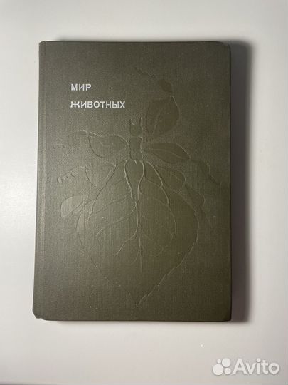 Книга «Мир животных» Акимушкин про насекомых