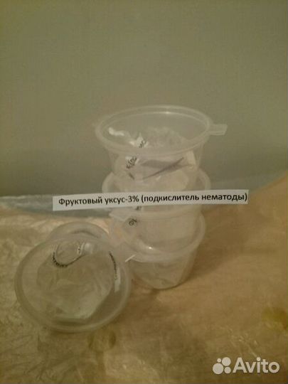 Нематода банановая(микрочервь) для поднятия молоди