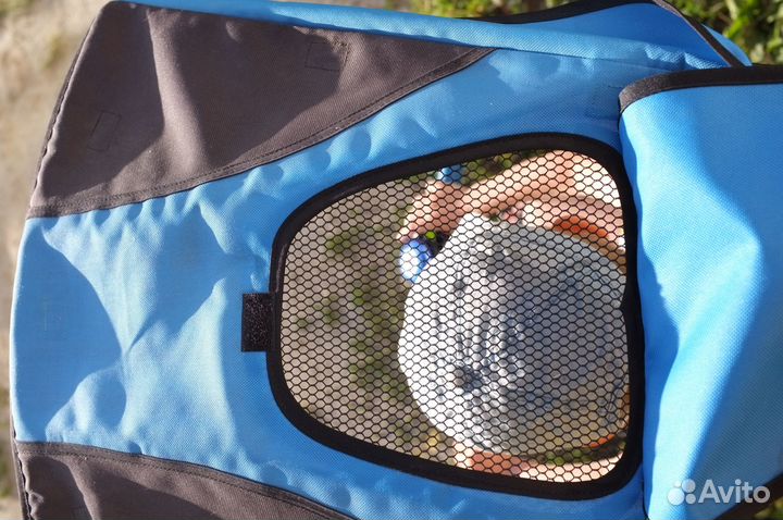 Трехколесный велосипед с родительской ручкой