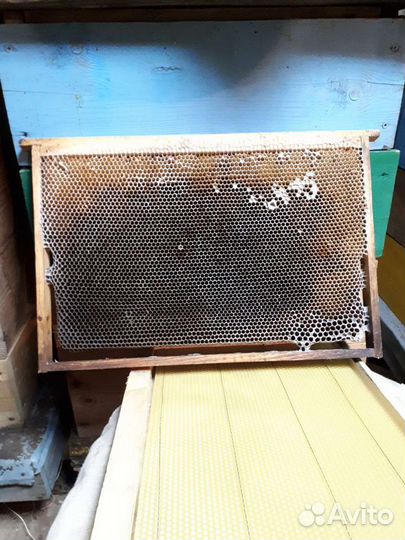 Рамки с сушью вощиной