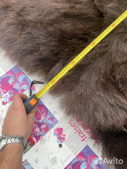 Шкура медведя