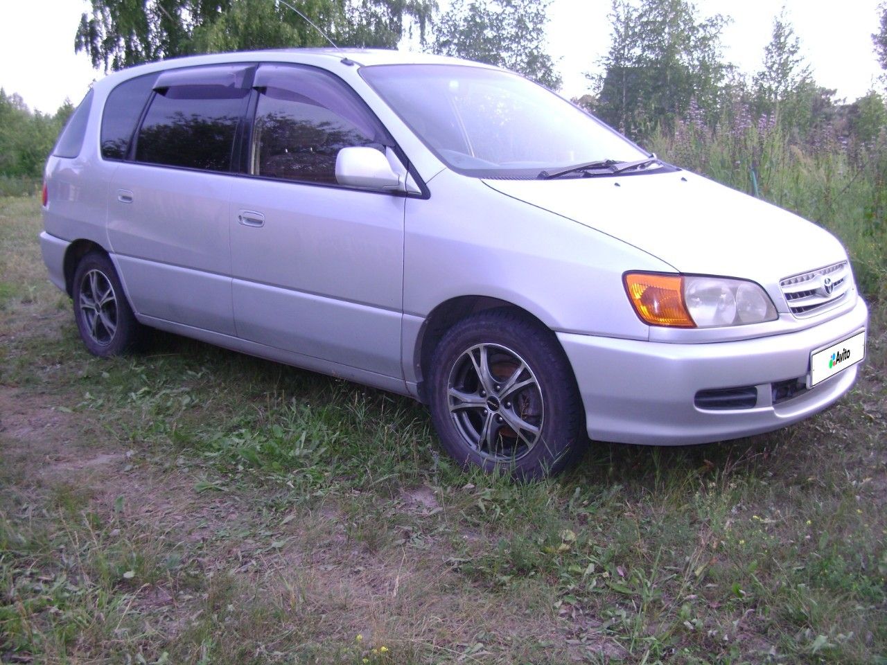 Toyota Ipsum: фото владельца