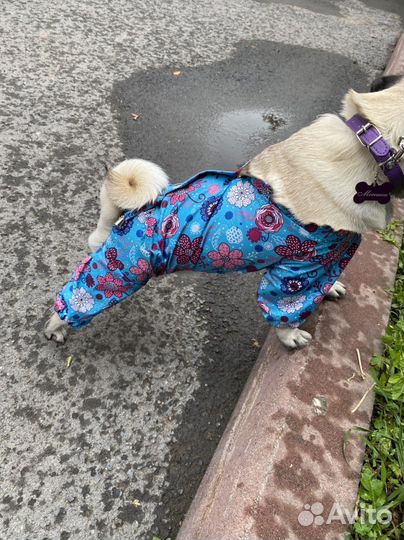 Дождевик для собаки средних пород