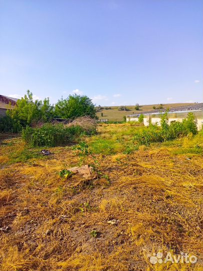 Промышленная теплица