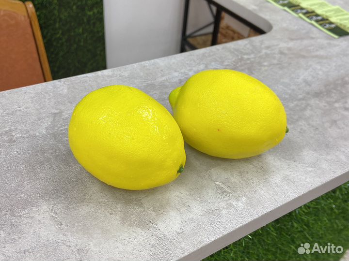 Яблоки декоративные