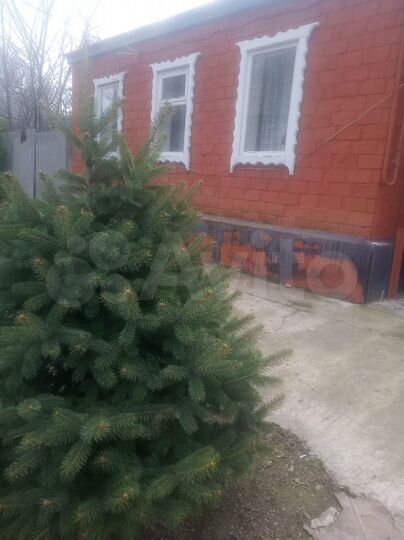 Дом 59,4 м² на участке 19 сот.