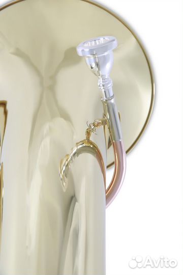 Туба Roy Benson TB-312C