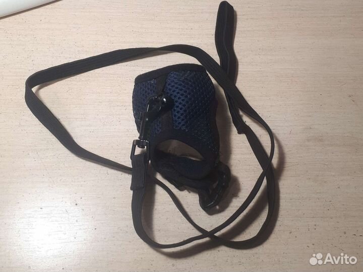 Шлейка с поводком