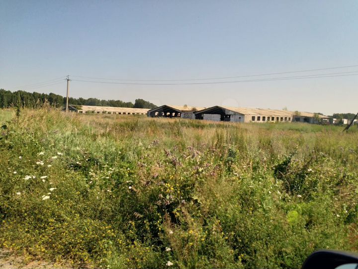 Здание, 5000 м²