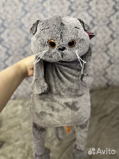 Кот басик basik