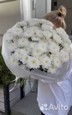 Свежие цветы Букеты Хризантема Альстрамерия достав