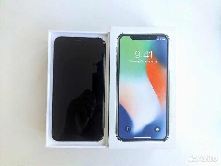 iPhone X, 256 ГБ
