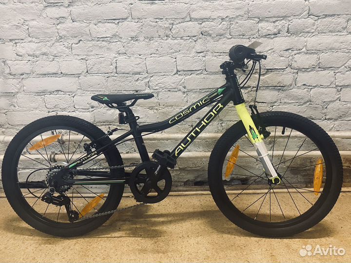 Author Cosmic 20 (2024)