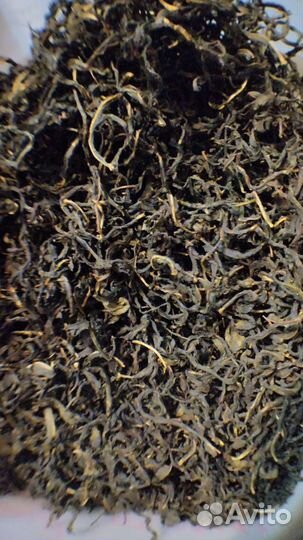 Иван-чай крупнолистовой