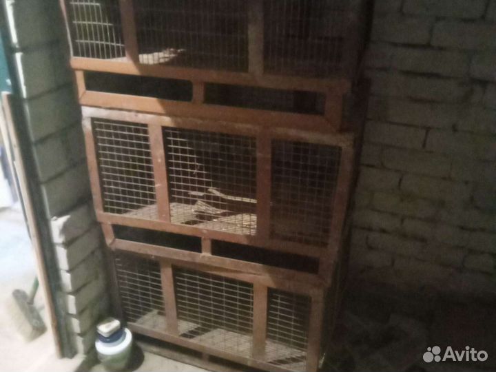 Ящик для хранения овощей