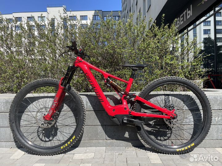 Specialized turbo levo custom