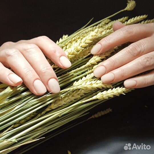 Маникюр, Педикюр, Наращивание ногтей