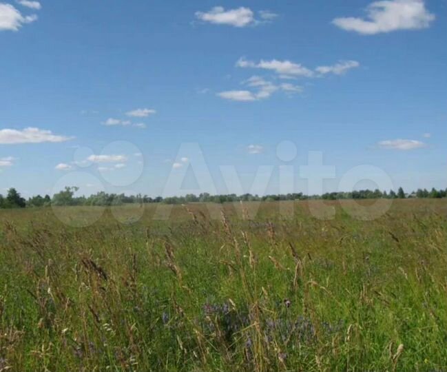 Участок 16 га (СНТ, ДНП)