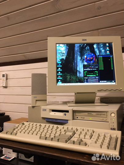 IBM PC 300GL