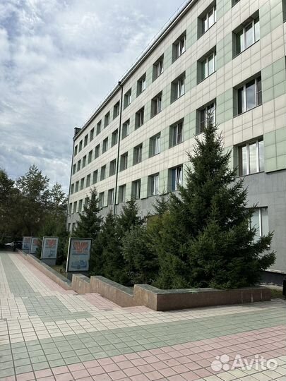 Озеленение комплексное под ключ от питомника Veles