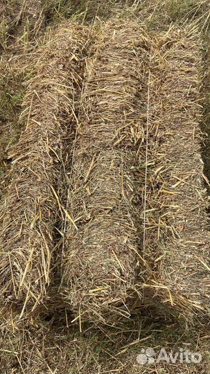 Солома тюки основа трава