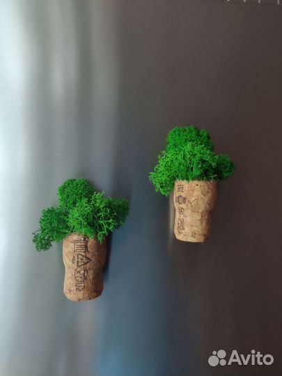 Сувениры. Магнит на холодильник