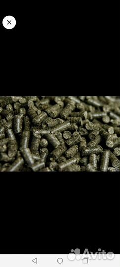 Шрот рапсовый подсолнечный соевый