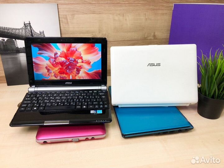 Нетбук Sony, Asus, Acer