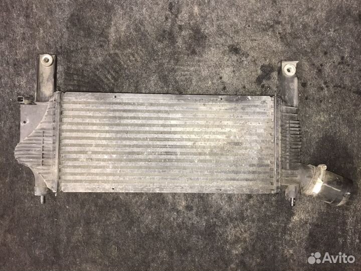 Радиатор интеркуллера Ниссан Навара Д40