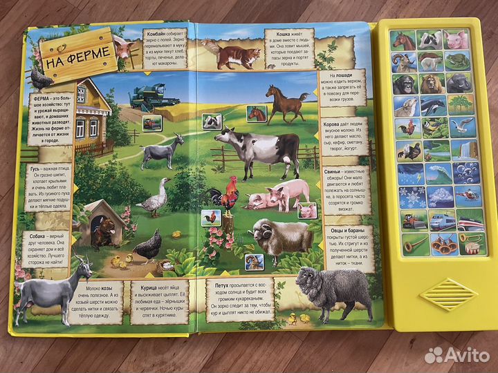 Интерактивные книги для малышей