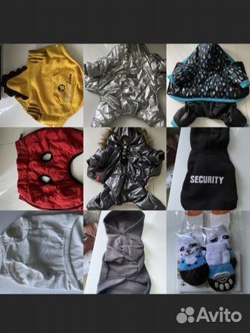 Одежда для маленьких собак