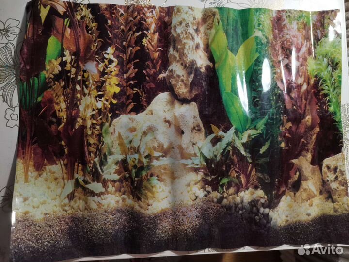 Задний фон для аквариума