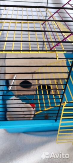 Клетка для грызунов