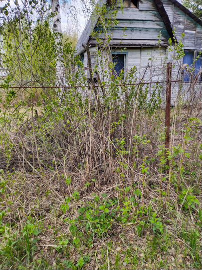Участок 6 сот. (СНТ, ДНП)