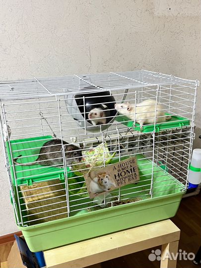 Клетка для грызунов