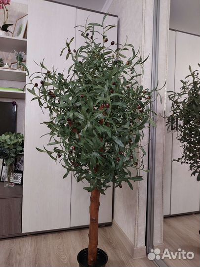 Искусственное дерево олива