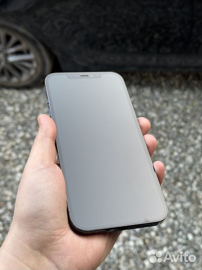 iPhone 12 Pro Max, 256 ГБ