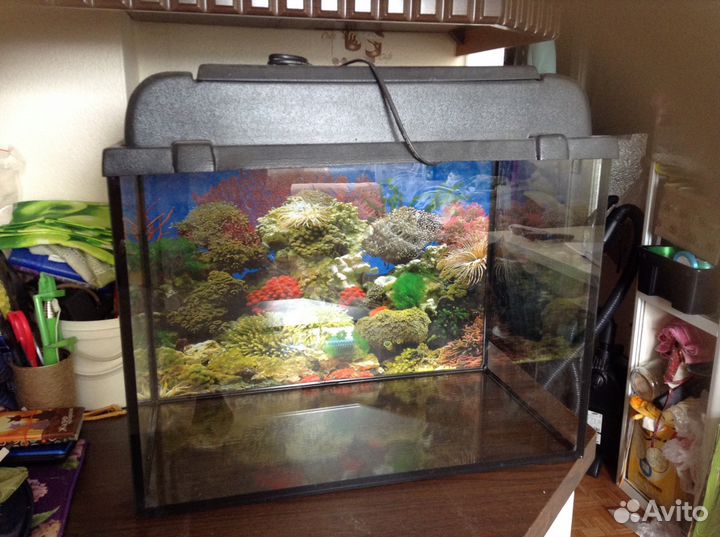 Аквариум 50 литров