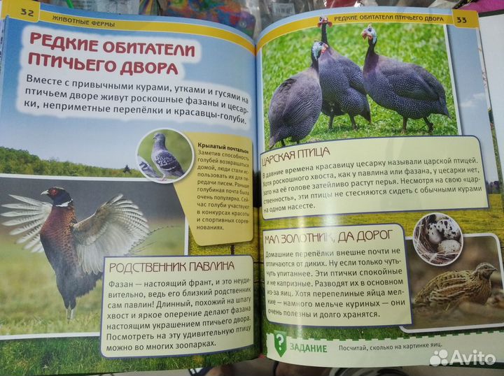 Детская энциклопедия