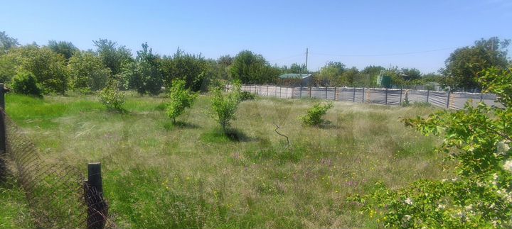 Участок 8 сот. (СНТ, ДНП)