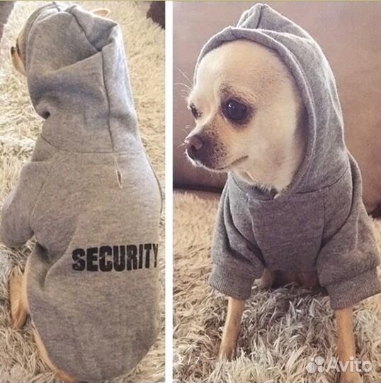 Толстовка для собаки мелкой породы