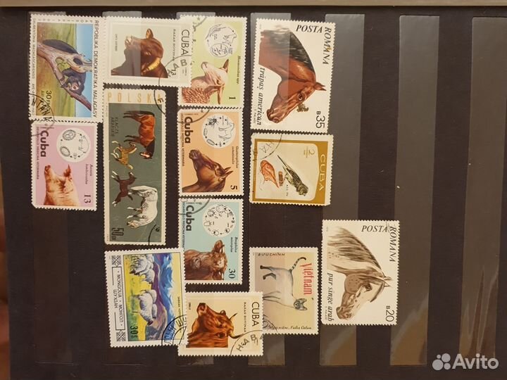 Почтовые марки альбом