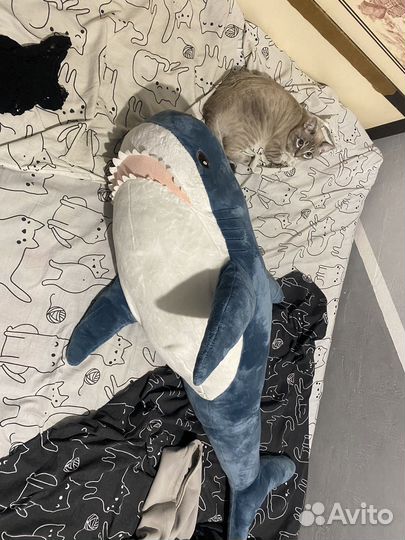 Большая мягкая игрушка акула