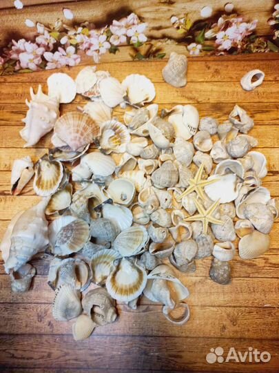 Корилус, спилы, шишки, тейп лента, каркасы