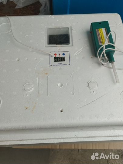 Инкубатор для яиц автоматический бу