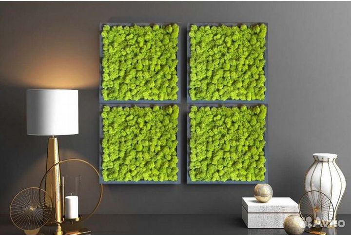 Фитокартина из мха и растений