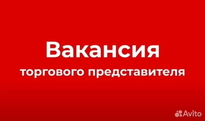 Торговый представитель с л/а