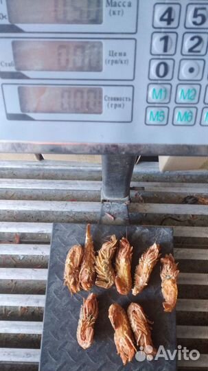 Креветка Медведка люкс мелко-средняя вылов 04.2022